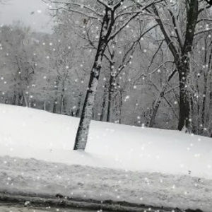 Meet your Posher, Luz